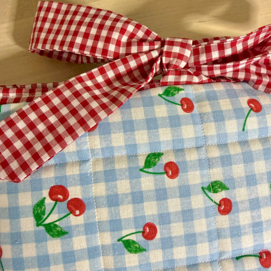 Cherries & Gingham π Book Sleeve
