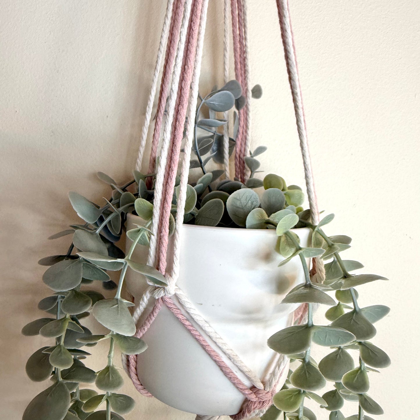 Strawberry Milkshake 🍓 Macrame Plant Hanger