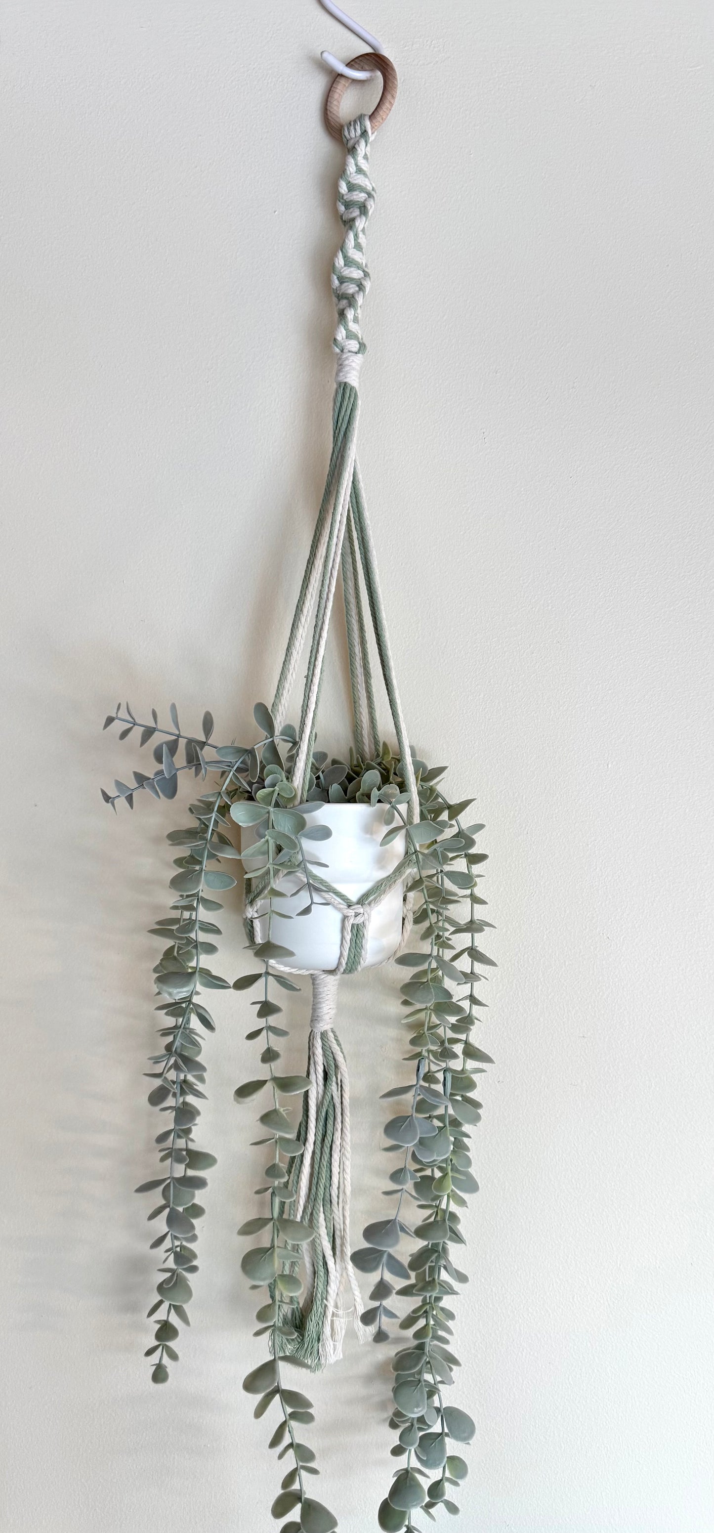 Sage #1 🍃 Macrame Plant Hanger