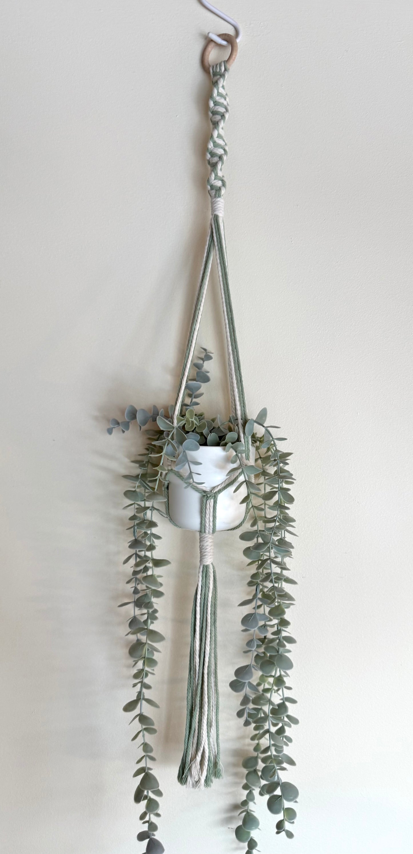 Sage #2 🍃 Macrame Plant Hanger