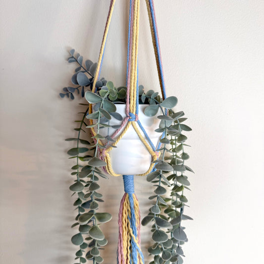 Cotton Candy Ice Cream 🍭 Macrame Plant Hanger