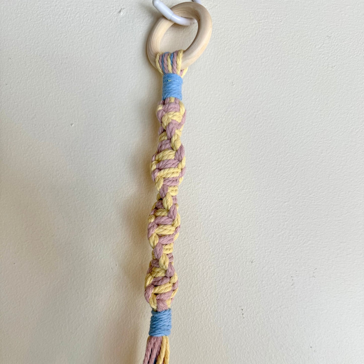 Cotton Candy Ice Cream 🍭 Macrame Plant Hanger