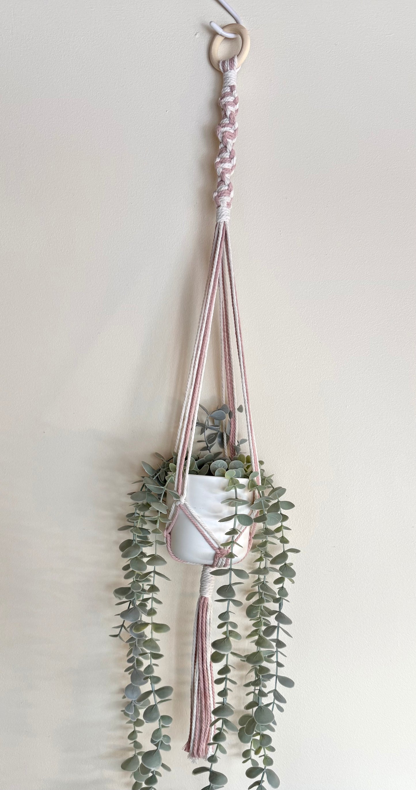 Strawberry Milkshake 🍓 Macrame Plant Hanger