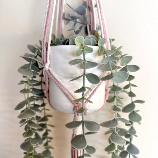 Strawberry Milkshake 🍓 Macrame Plant Hanger