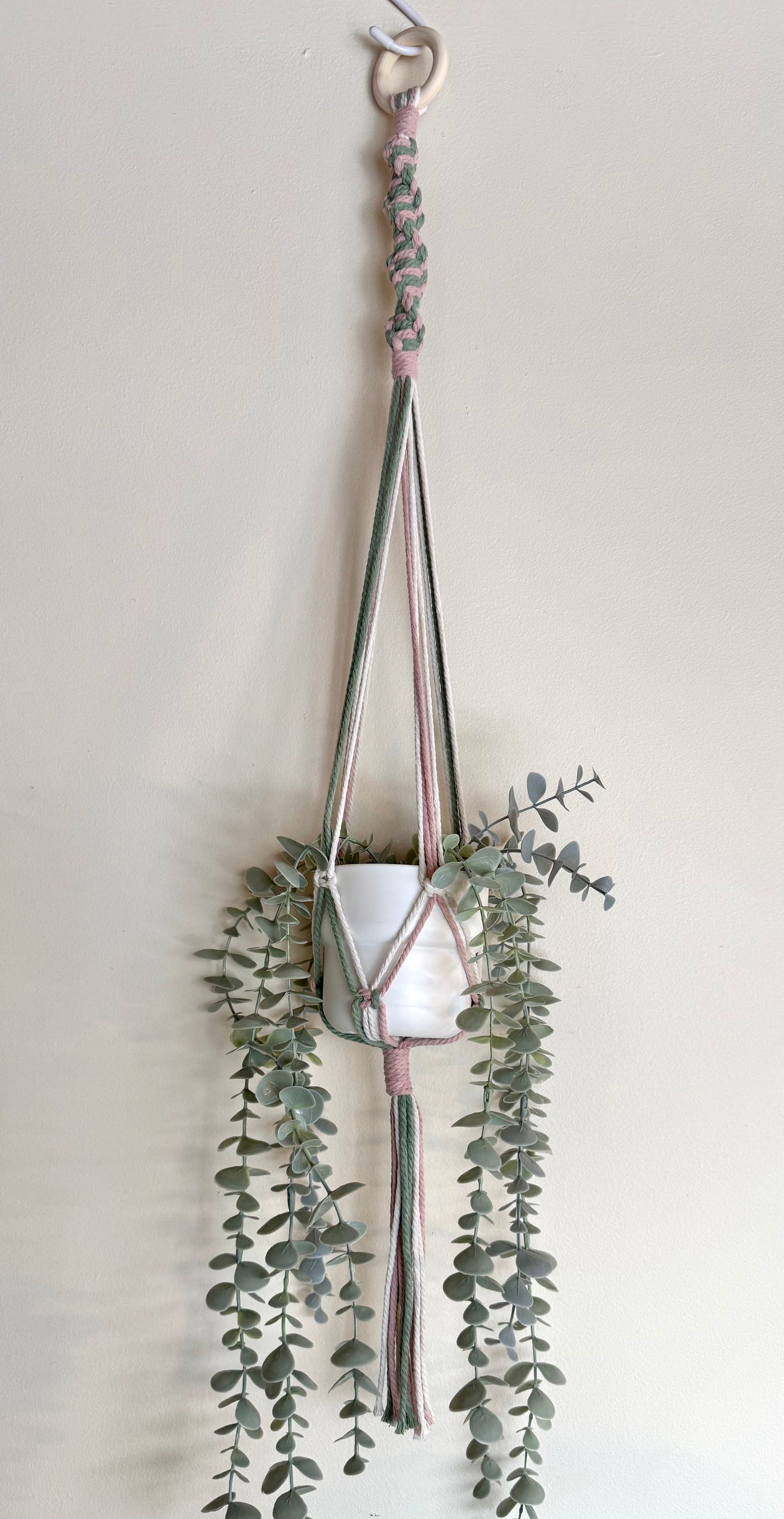 Strawberry Matcha 🍵 Macrame Plant Hanger