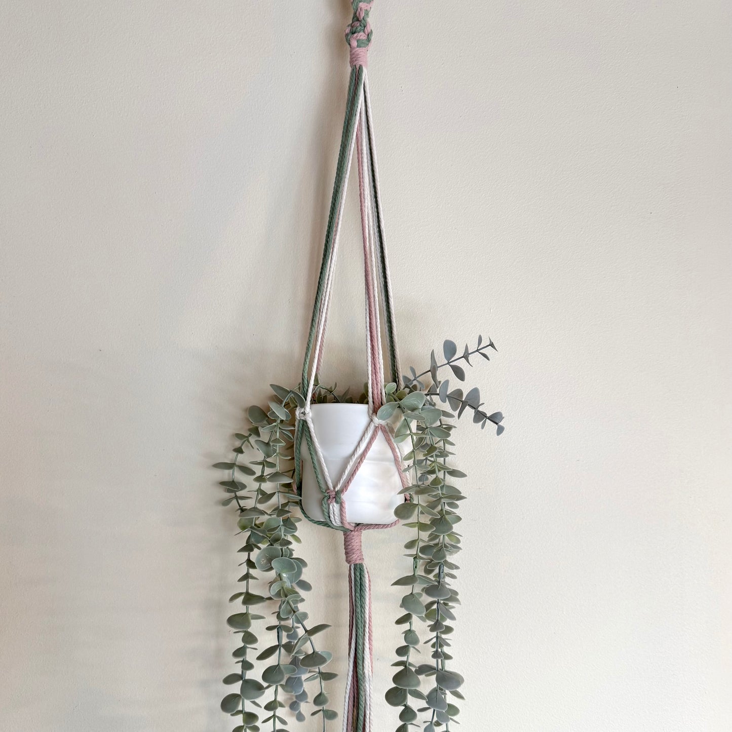 Strawberry Matcha 🍵 Macrame Plant Hanger