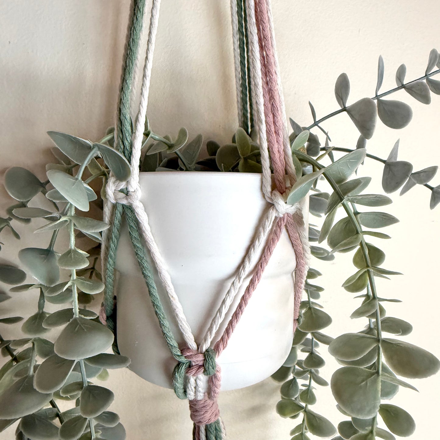 Strawberry Matcha 🍵 Macrame Plant Hanger