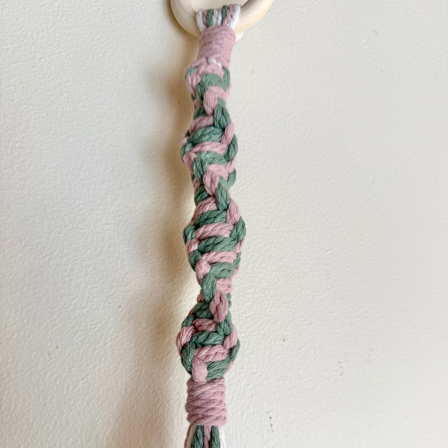 Strawberry Matcha 🍵 Macrame Plant Hanger