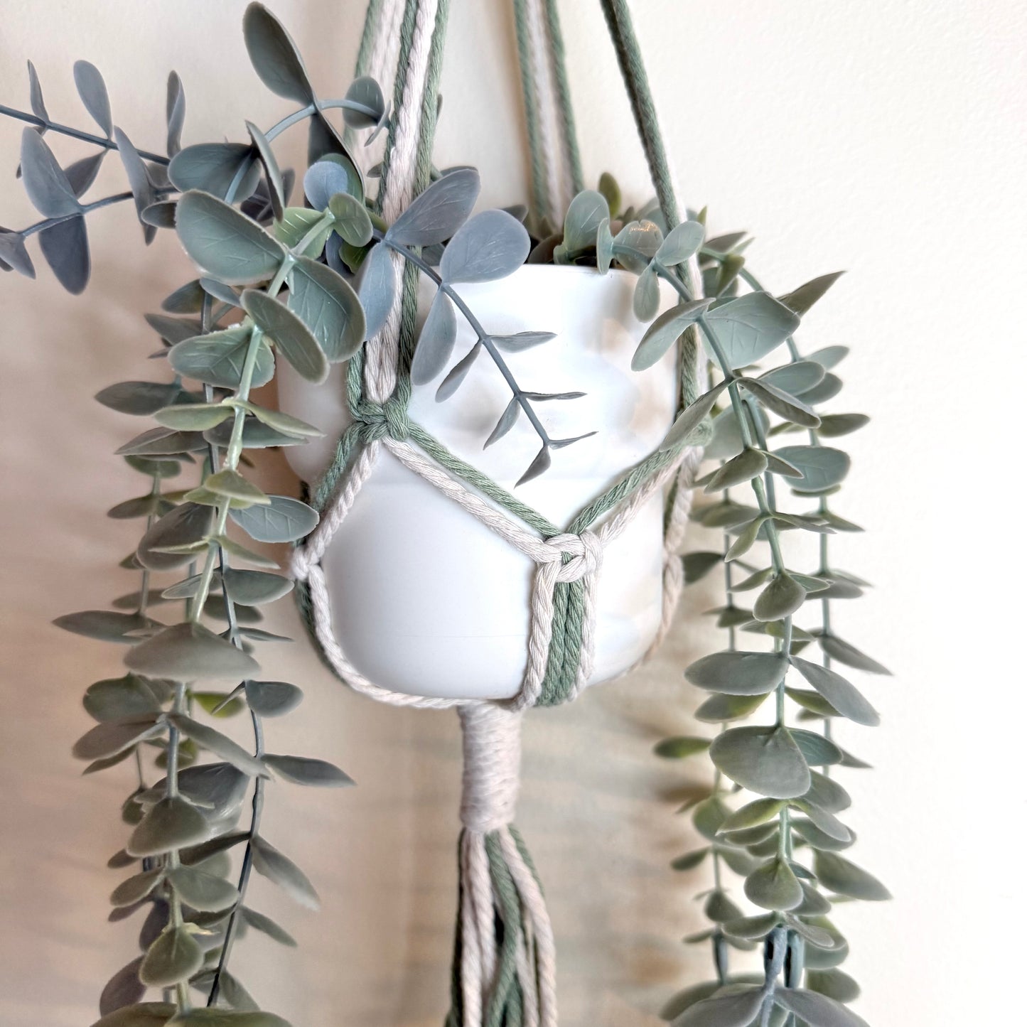 Sage #1 🍃 Macrame Plant Hanger