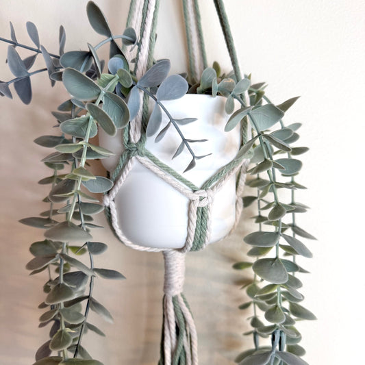 Sage #1 🍃 Macrame Plant Hanger