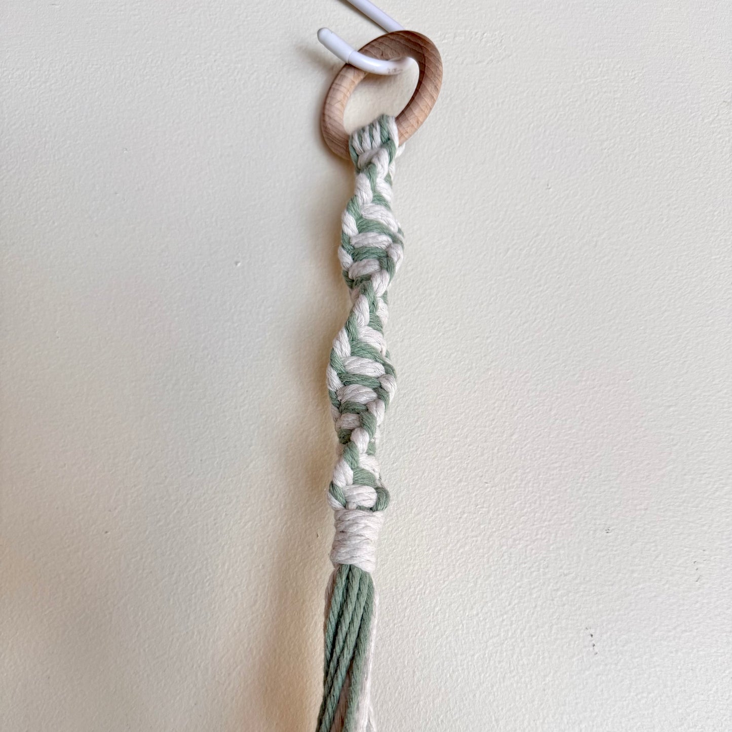 Sage #1 🍃 Macrame Plant Hanger