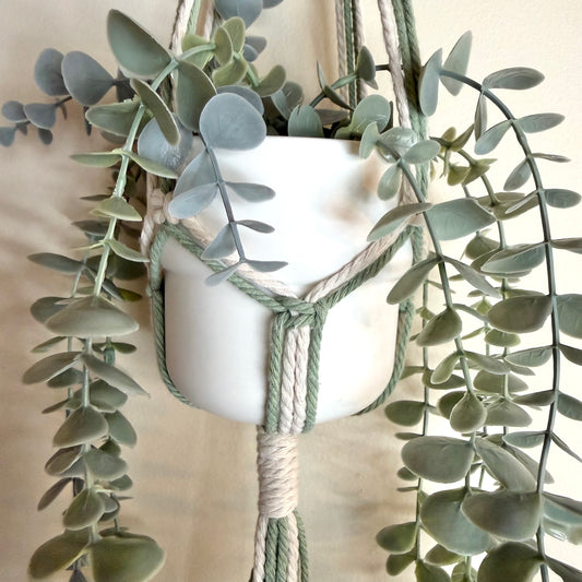 Sage #2 🍃 Macrame Plant Hanger